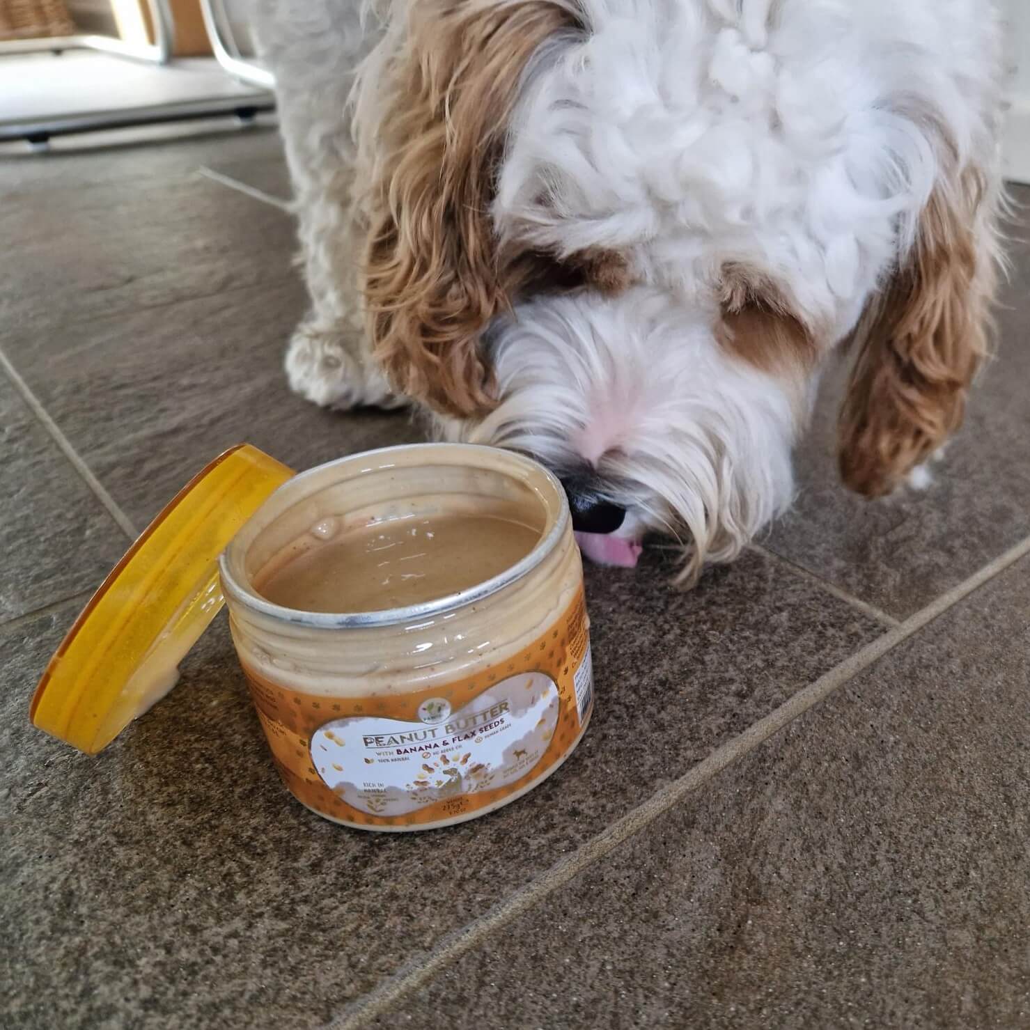 welke pindakaas voor hond