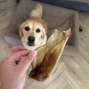 Hertenoren hertenoor kauwsnack hond natuurlijk allergie