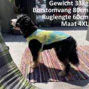 Koeljas hond gevaarlijk