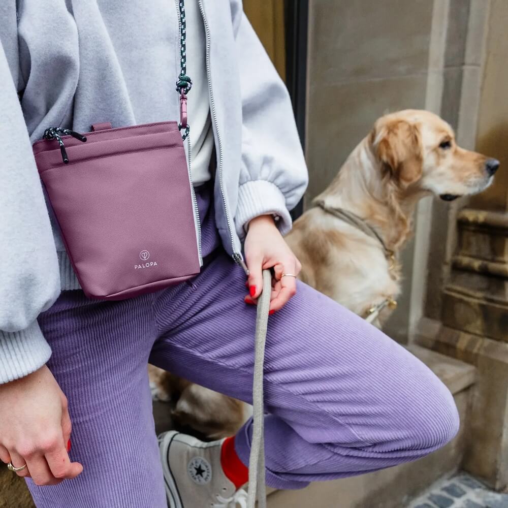 beloningstasje hond schouder