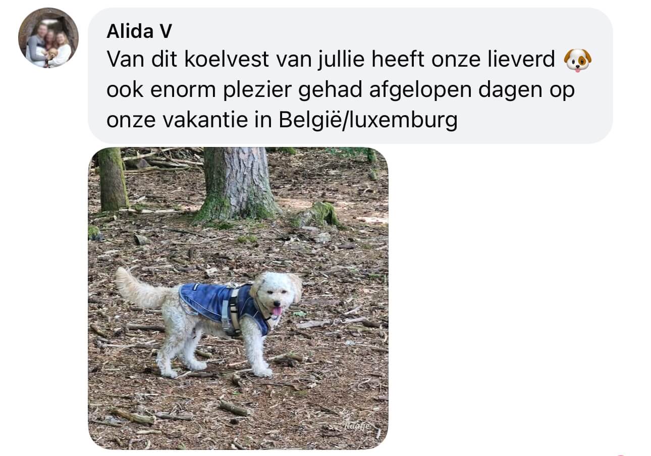 koelvest hond gevaarlijk