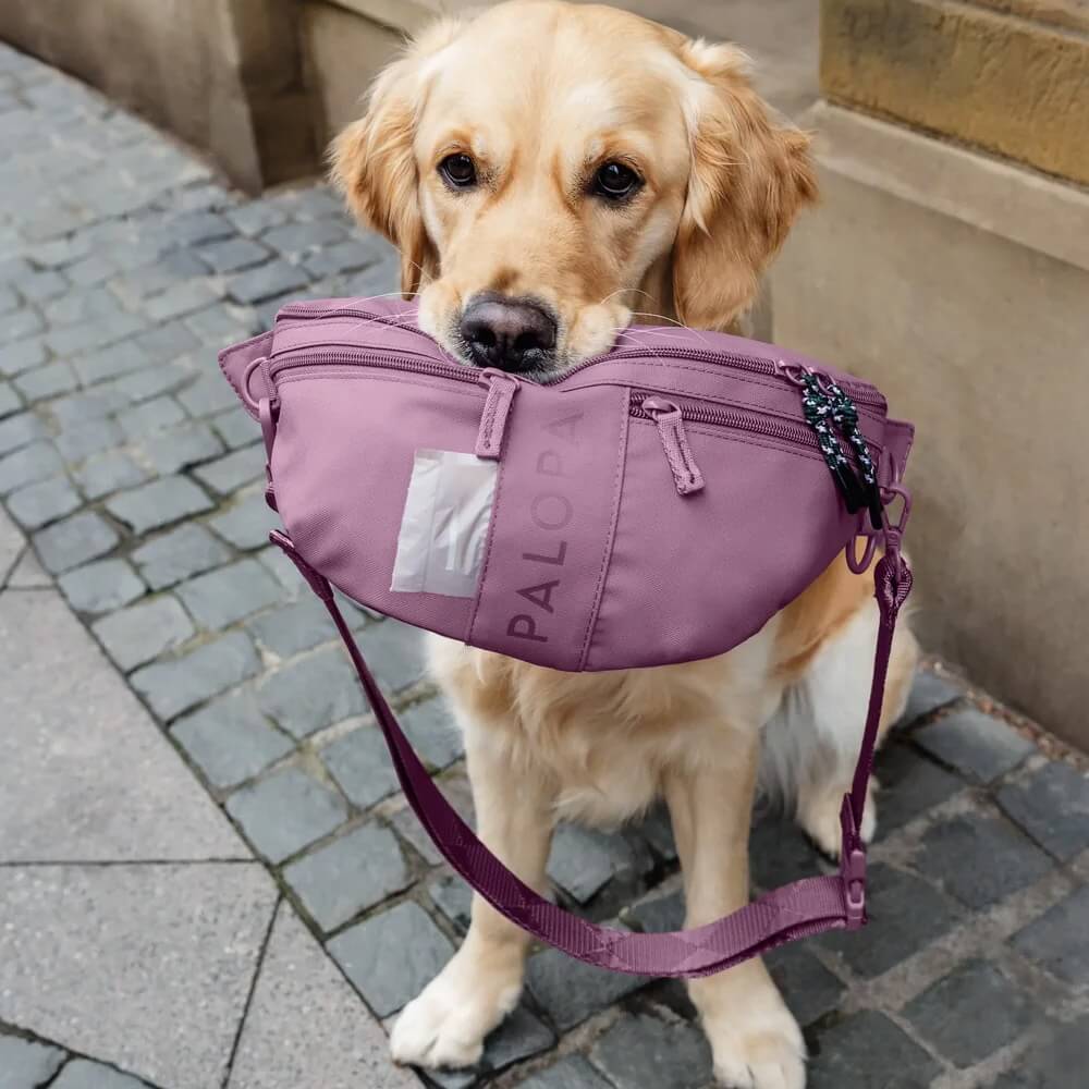 palopa beloningstasje paars berry roze