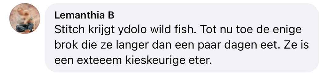 Hond extreem kieskeurig