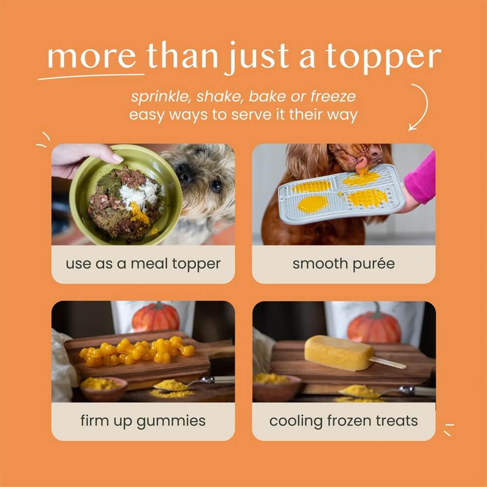 Pompoen hond diarree