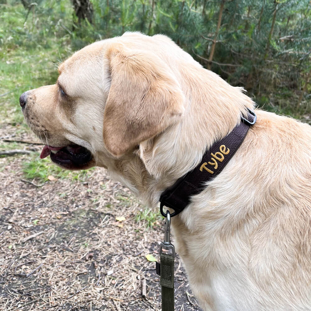 Zachte halsband hond