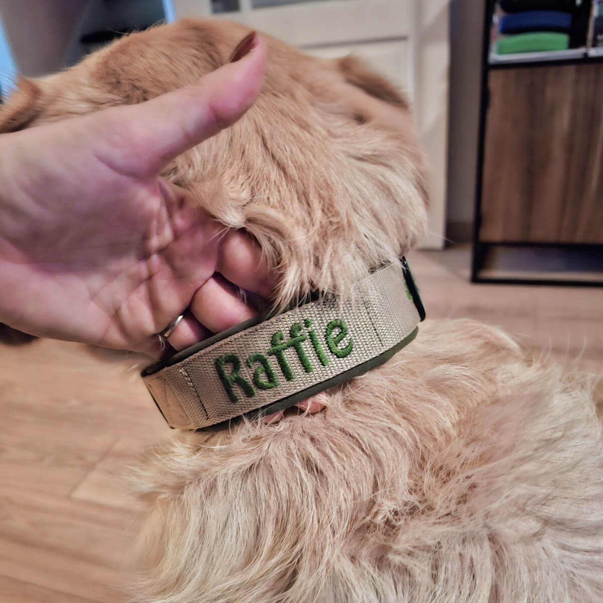hondenhalsband met naam