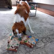 Zachte hondensnoepjes carnilove hond snacks