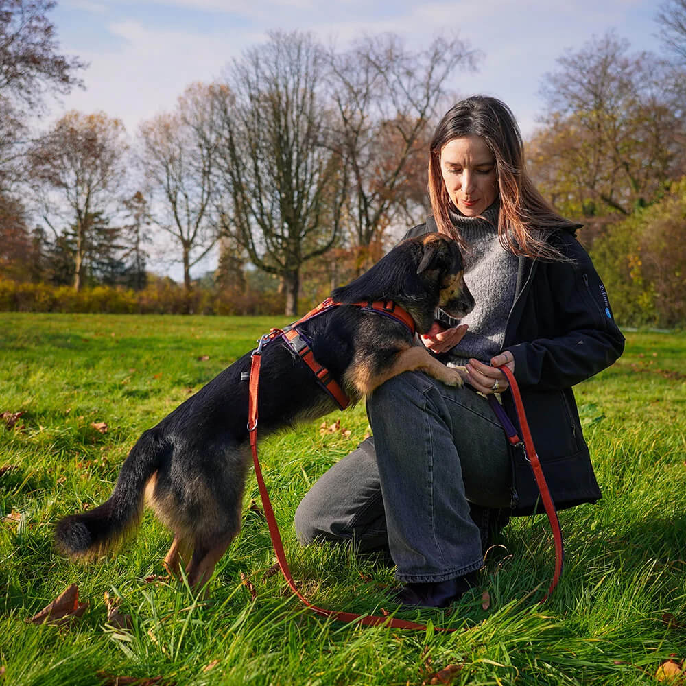 AnnyX riem Limited Edition Fun paars maple ahorn plum