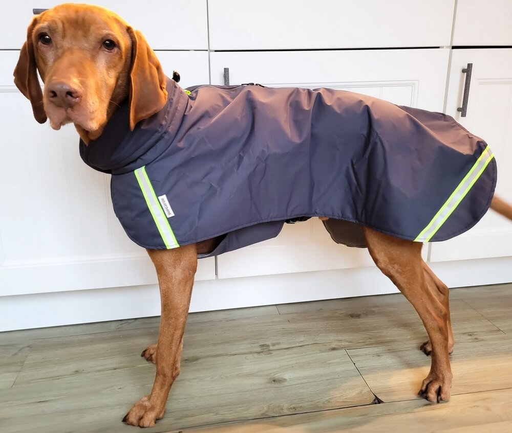 Maatvoering waterdichte regenjas hond