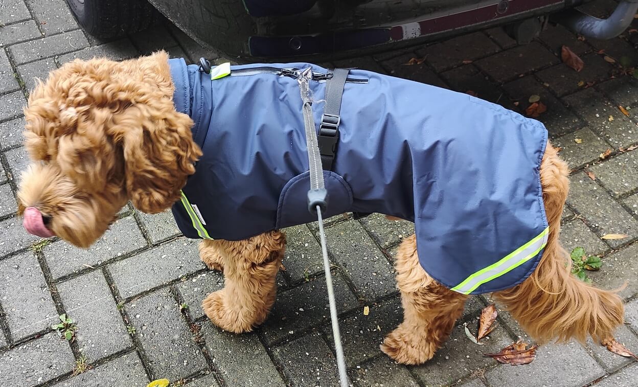 Waterdichte regenjas Labradoodle