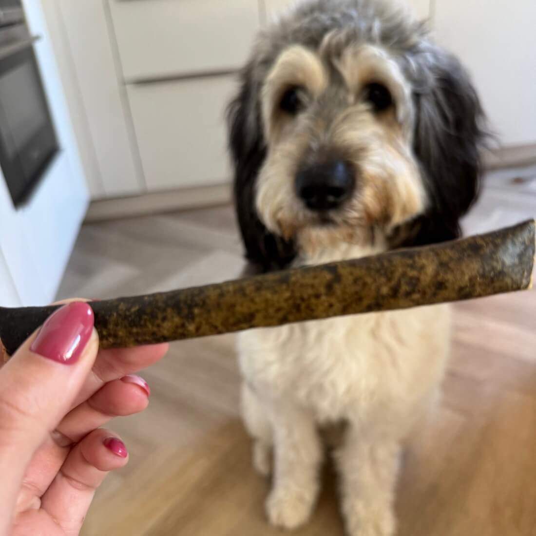 natuurlijk ontwormen hond