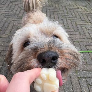 Gezonde hondenijsjes maken recept