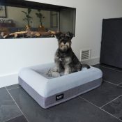 Orthopedische hondenmand buddybed ervaringen