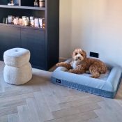Orthopedische hondenmand ervaringen labradoodle