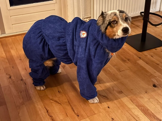 Badjas hond met poten hondenbadjas te groot