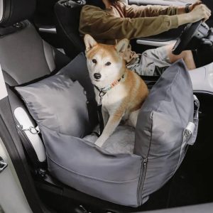 Beste autostoel kleine hond 10kg