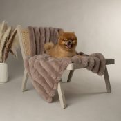 Hondendeken honden deken fleece voor op de bank taupe