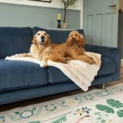 Hondendeken honden deken voor op de bank bankdeken