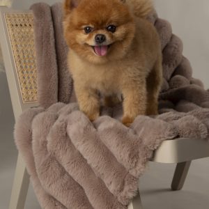 Hondendeken honden deken voor op de bank bruin
