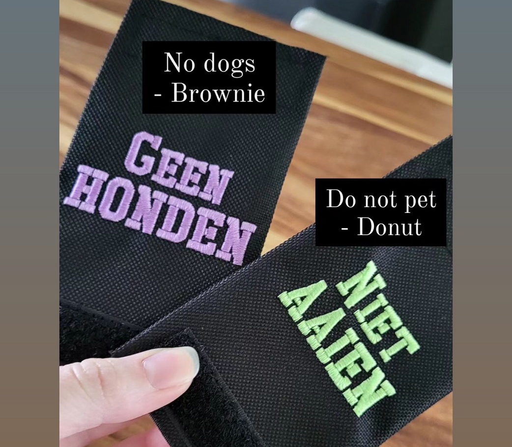 Hondenharnas met naam