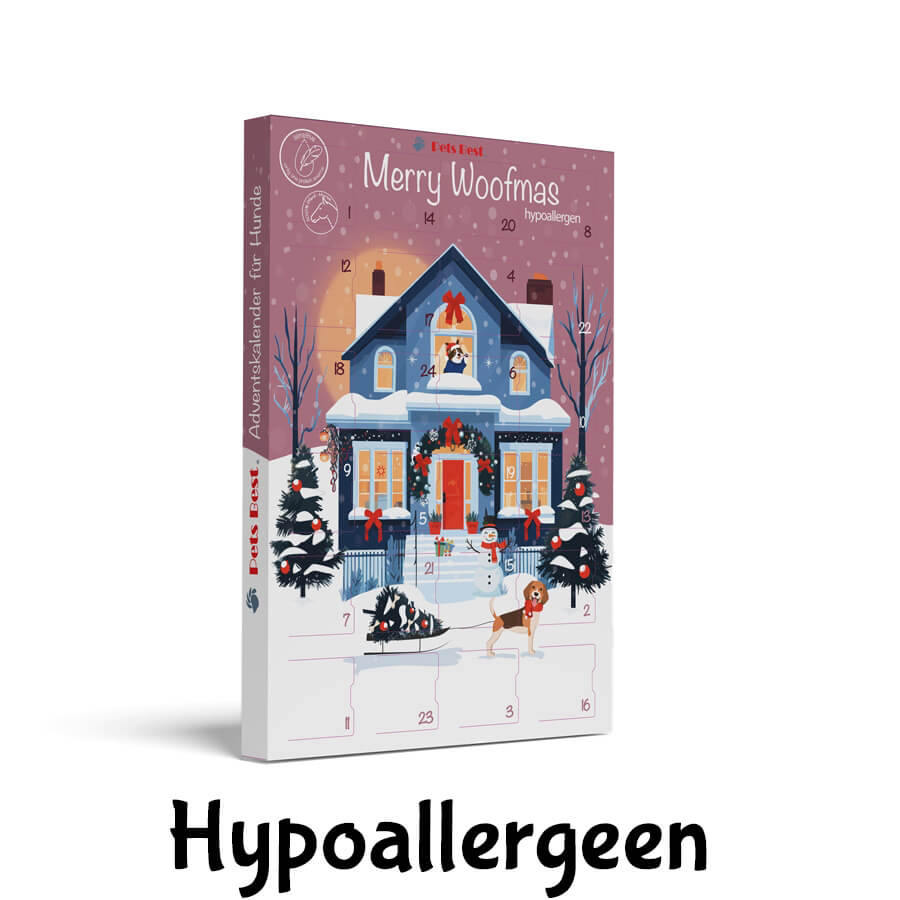 Adventkalender hond