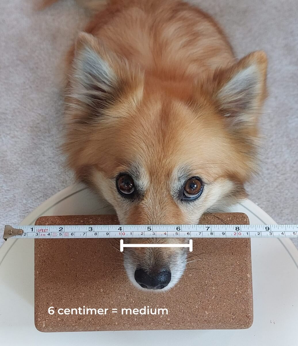 Tand Tool hond Ervaringen review