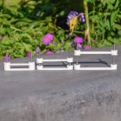 Tand tool tandtool hond tandenpoetsen aanleren zorg zonder dwang zorgzonderdwangmaten
