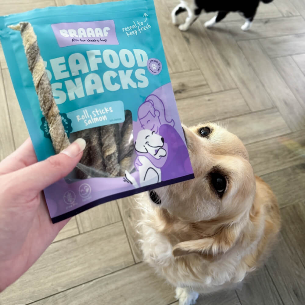 BRAAAF Wilde Alaska Zalm hond twists