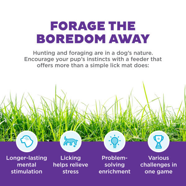 Nina Ottosson Lick N'Flip Likmat, Slowfeeder & Puzzel voordelen