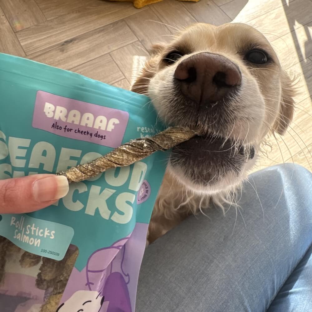Vis snacks hond