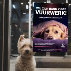 Vuurwerkposter vuurwerk poster hond gratis vuurwerkangst