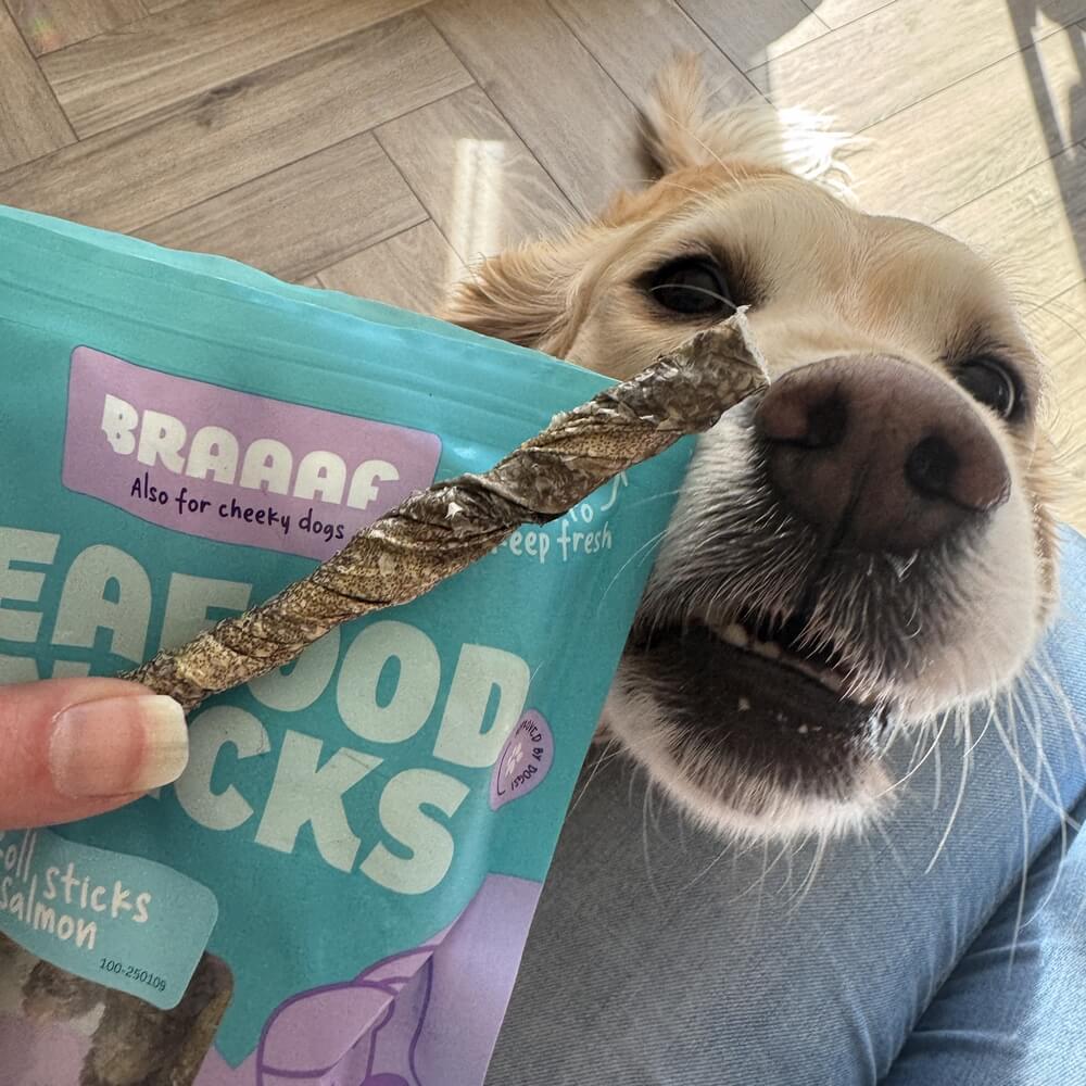 Zalm staafjes hond