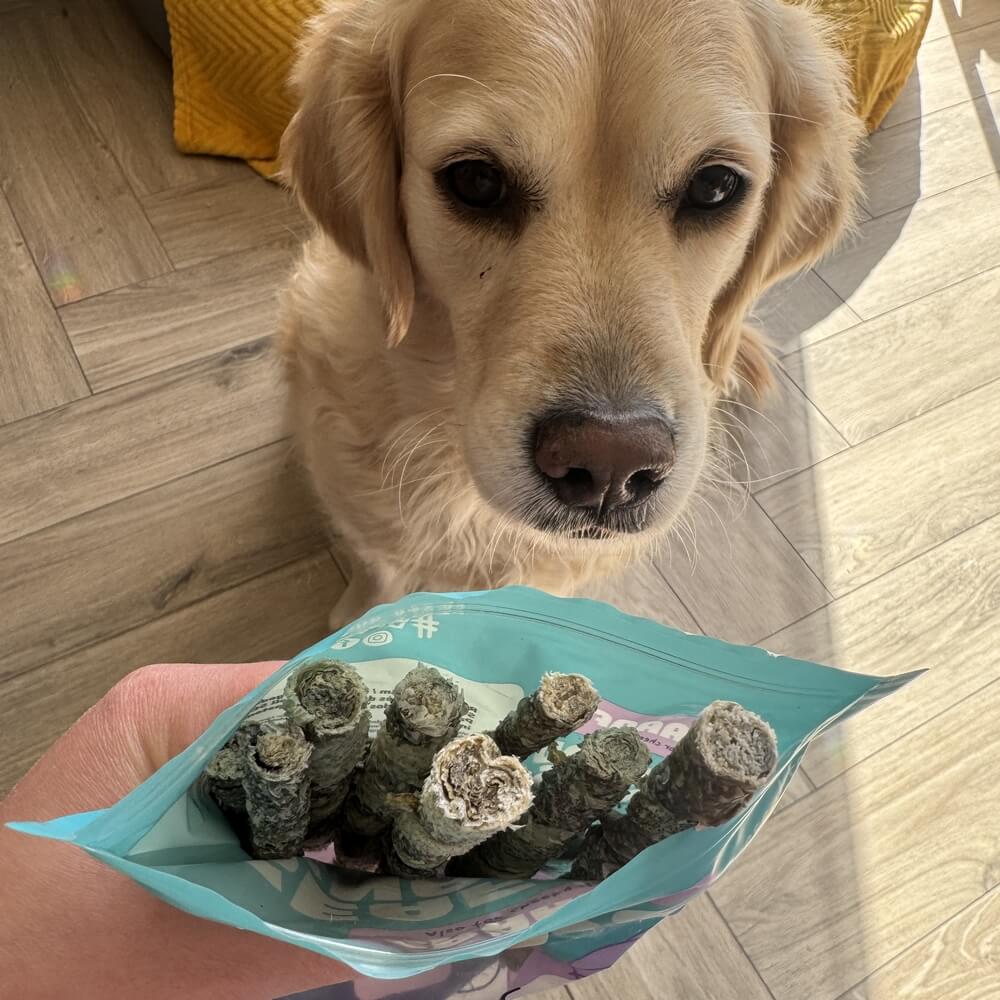 Zalm sticks stokjes hond