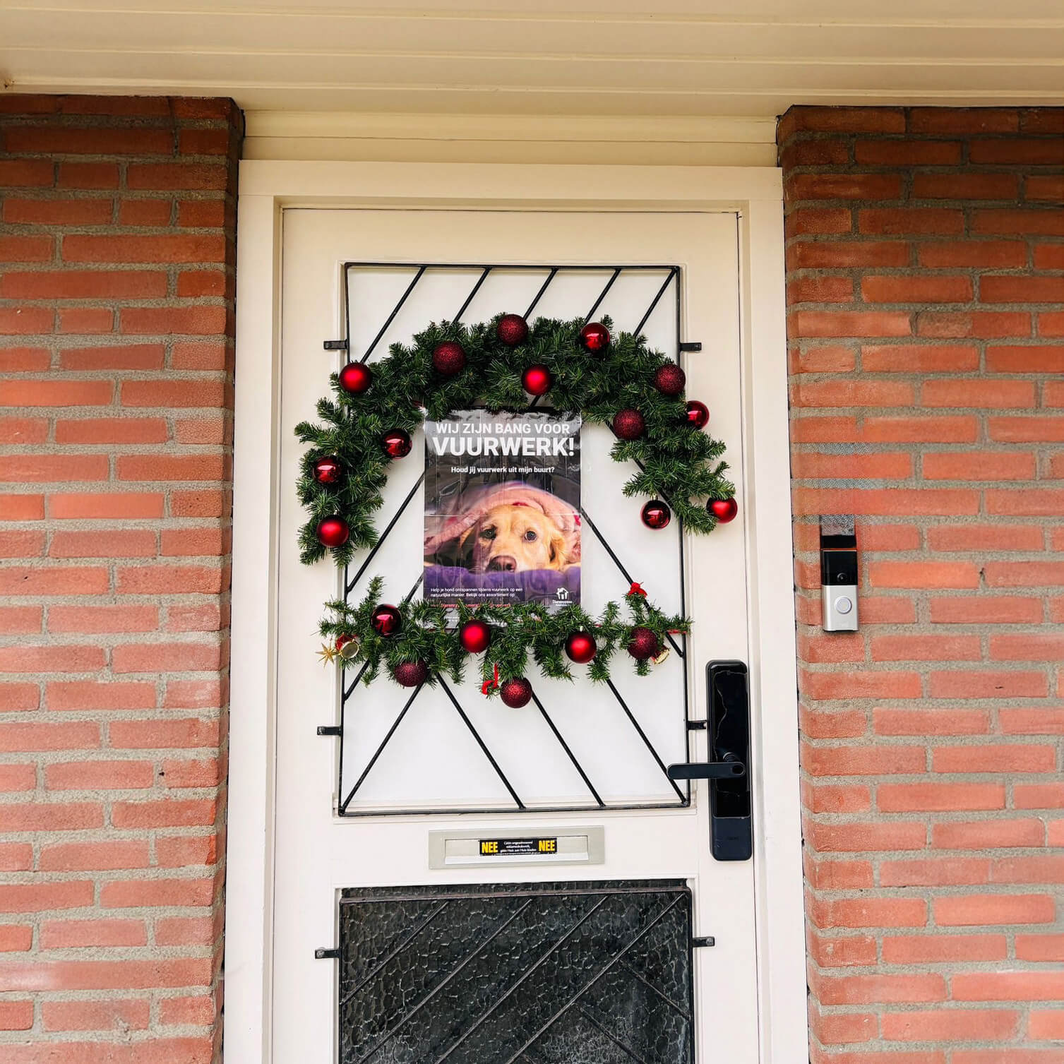 vuurwerk poster hond bang voor vuurwerk