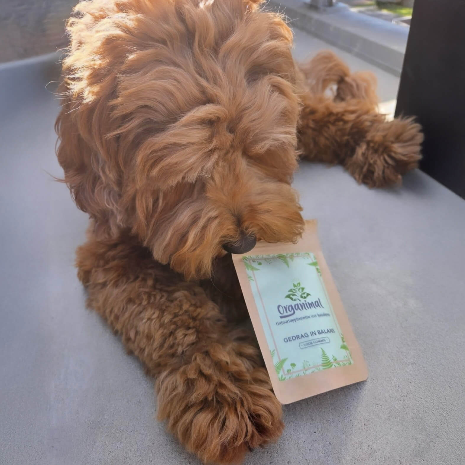 organimal kortingscode