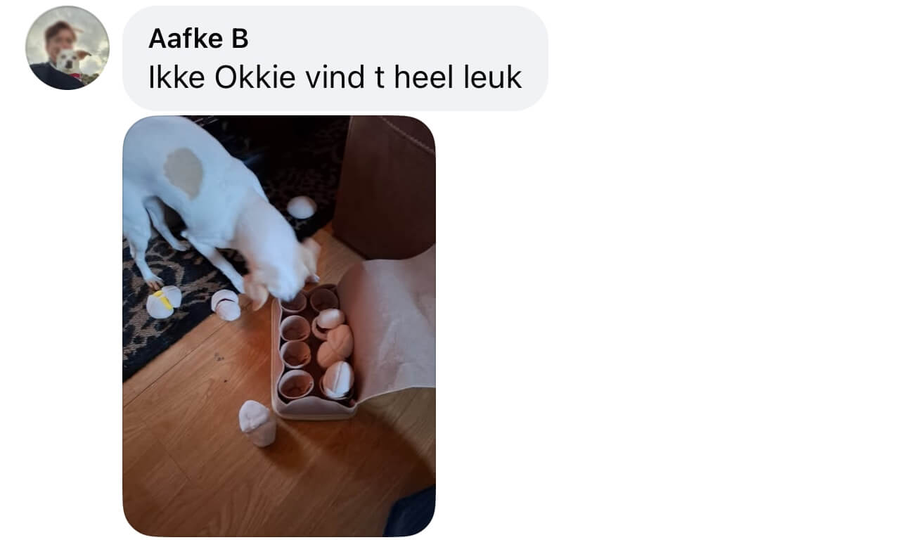 Eierdoos hond spelletje ervaring