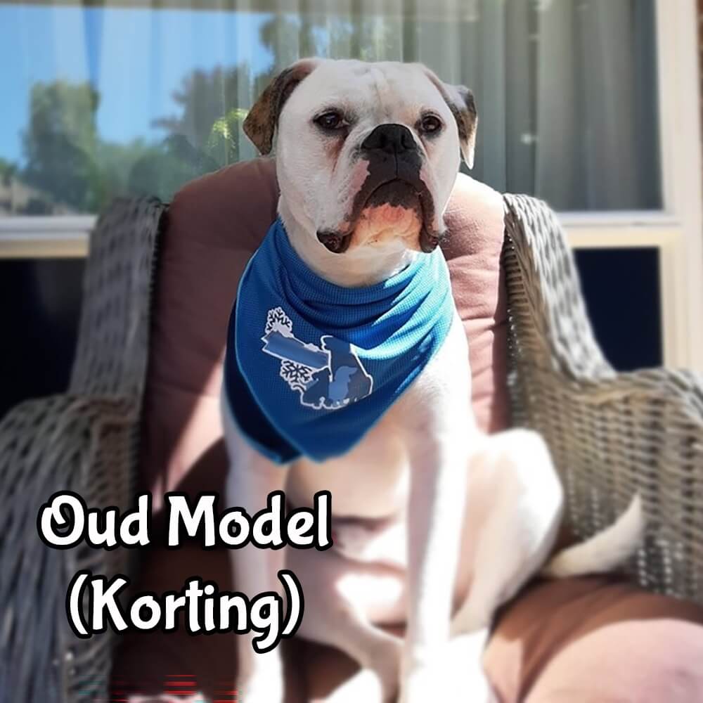 Goedkope Koelband hond korting action