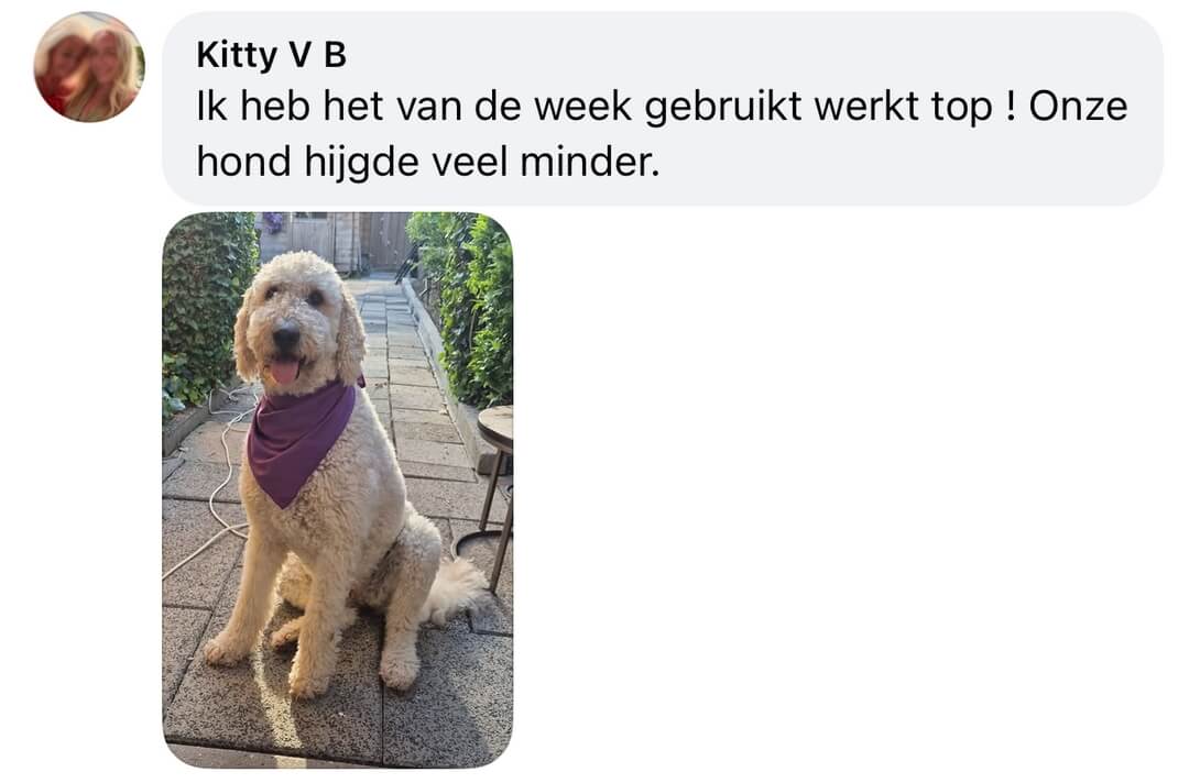 Koelband hond ervaringen