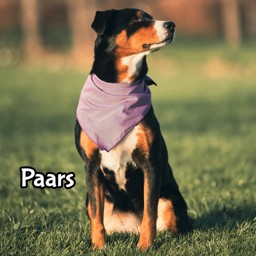 Koelbandana hond paars