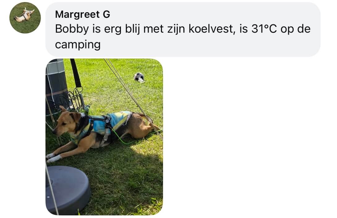 Koelvest hond ervaringen