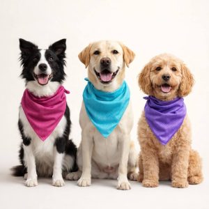 koelband hond koelhalsband koel cool bandana koelbandana action