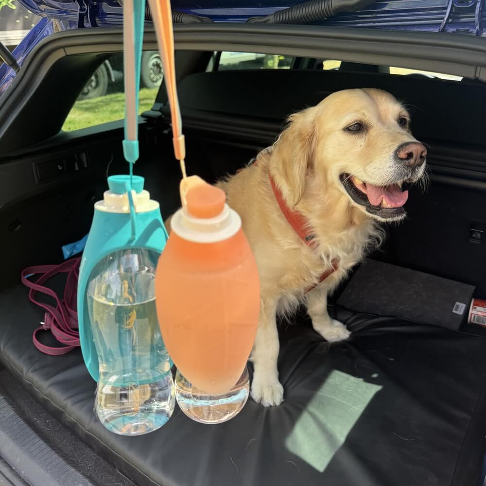waterfles hond onderweg
