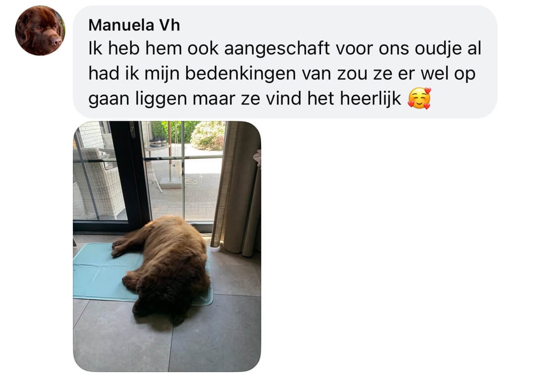 Ervaringen koelmat hond