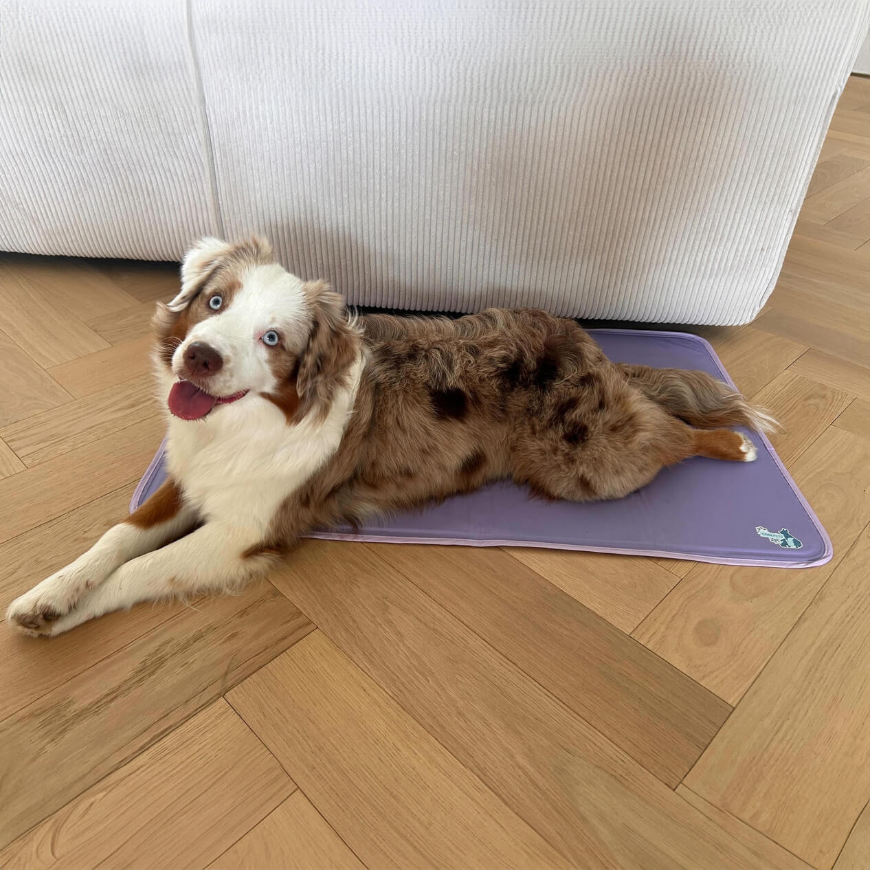 Koelmatten hond action