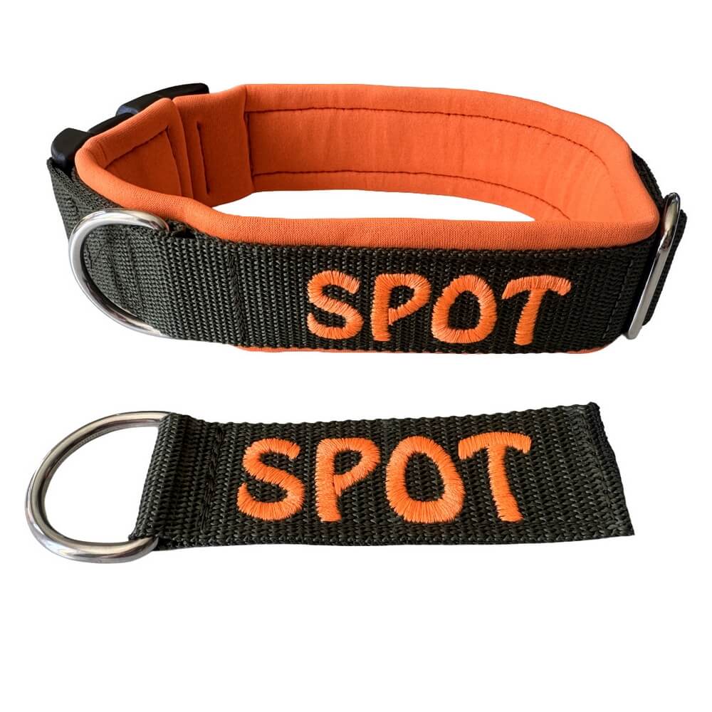 Sleutelhanger met naam hond