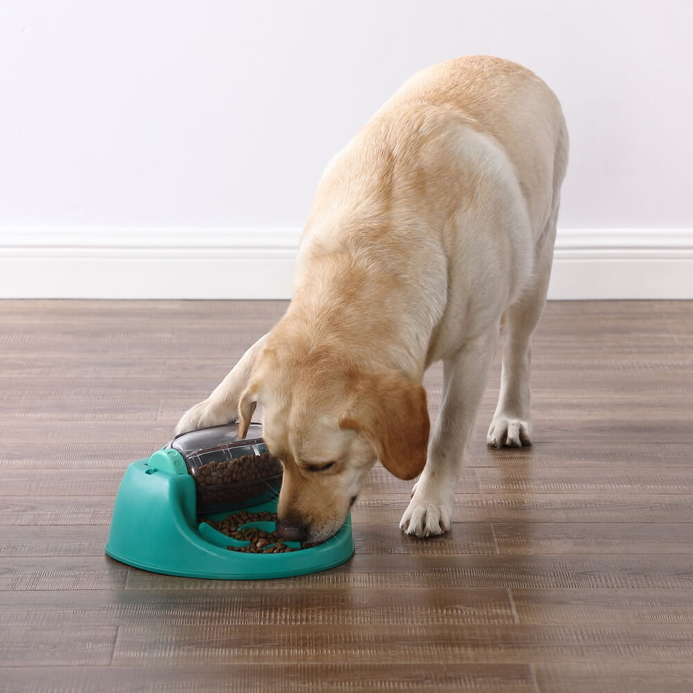 Nina Ottosson - Dog Spin N' Eat Voerpuzzel hond