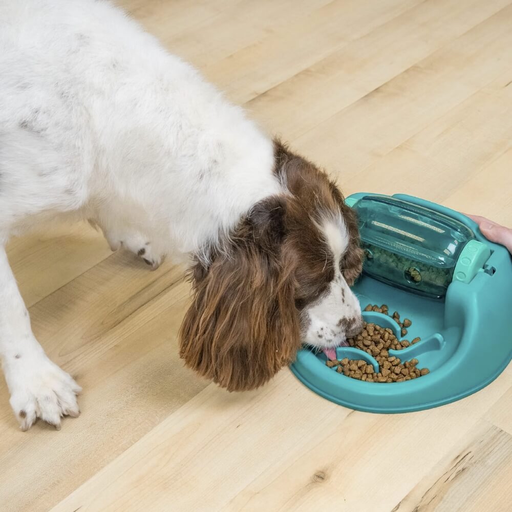 Nina Ottosson - Dog Spin N' Eat Voerpuzzel korting